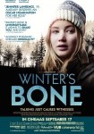 2010 Winter's Bone Movie Film Cinema Poster Art
